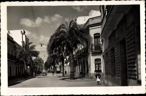 Ak Huelva Andalusien Spanien, Paseo de la Independencia