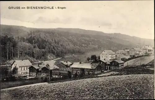 Ak Bienenmühle Erzgebirge, Gesamtansicht