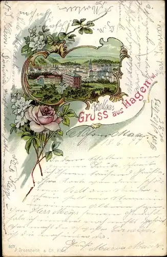 Litho Hagen in Westfalen, Panorama vom Ort, Rose