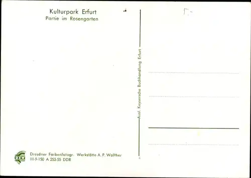 Ak Erfurt in Thüringen, Kulturpark, Partie im Rosengarten