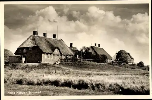 Foto Ak Hallig Hooge in Nordfriesland, Schulwarf