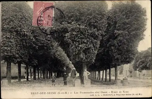 Ak Bray sur Seine Seine et Marne, Les Promenades cote Ouest, Route de Sens
