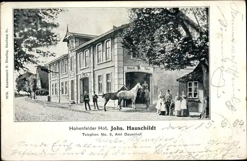 Ak Dauenhof Hohenfelde Schleswig Holstein, Hohenfelder Hof, Johs. Hauschildt, Pferde