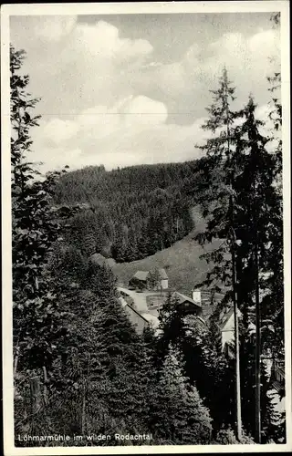 Ak Schwarzenbach an der Saale Oberfranken, Löhmarmühle, Wald