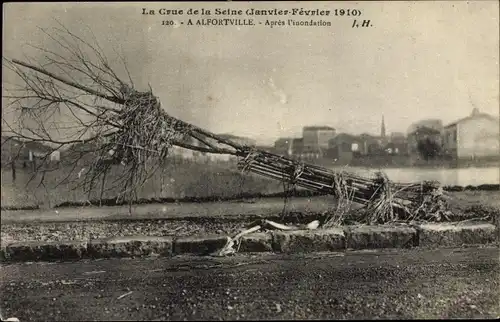 Ak Alfortville Val de Marne, La Grande Crue de la Seine, Apres l'inondation