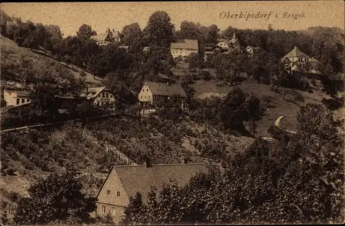 Ak Oberkipsdorf Altenberg im sächsischen Erzgebirge, Gesamtansicht
