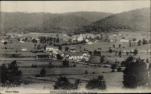 Ak Biffontaine Vosges, Panorama