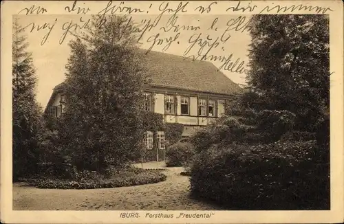 Ak Bad Iburg in Niedersachsen, Forsthaus Freudenthal