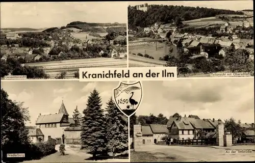 Ak Kranichfeld in Thüringen, Niederburg, Teilansichten, An der Ilmbrücke, Wappen