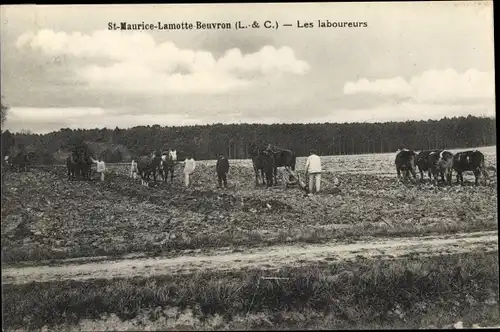 Ak Saint Maurice Lamotte Beuvron Loir et Cher, Les laboureurs, Pferdepflug