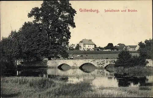 Ak Grillenburg Tharandt Sachsen, Schlossteich und Brücke, Rinder auf der Weide