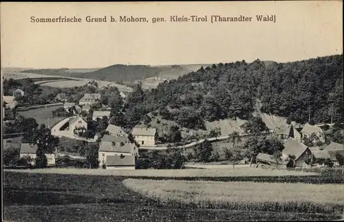 Ak Grund Mohorn Wilsdruff Sachsen, Panorama mit Tharandter Wald