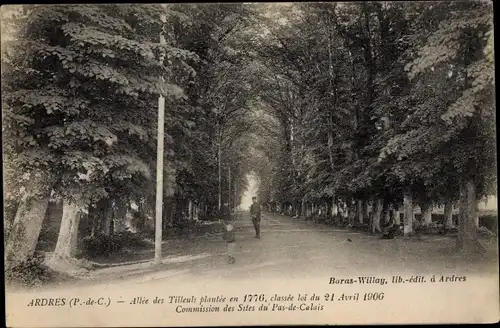 Ak Ardres Pas de Calais, Allee des Tilleuls