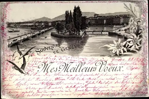 Litho Genève Genf Stadt, Stadtpanorama, Edelweiß