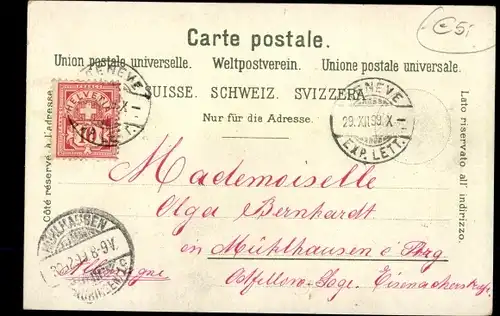 Litho Genève Genf Stadt, Stadtpanorama, Edelweiß