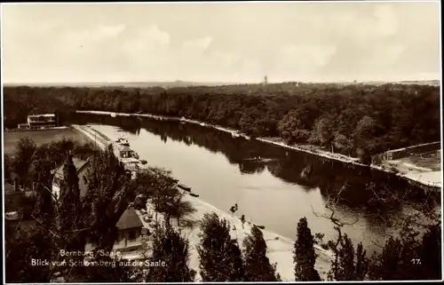 Ak Bernburg an der Saale, Aussicht vom Schlossberg