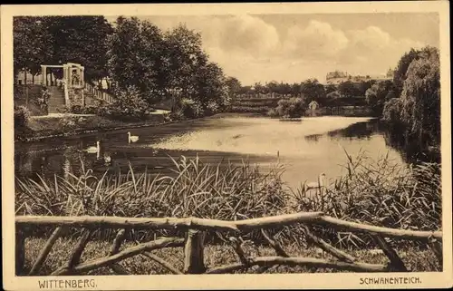Ak Lutherstadt Wittenberg, Schwanenteich
