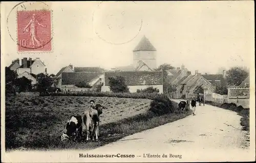 Ak Huisseau sur Cosson Loir et Cher, Entree du Bourg, boeufs