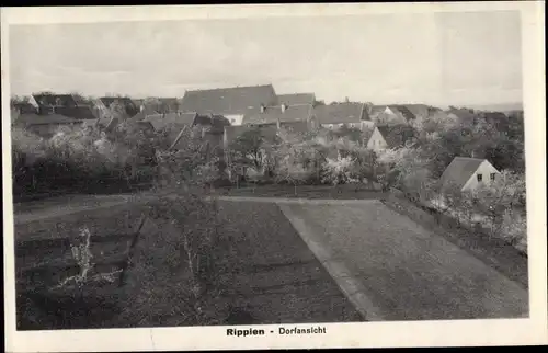 Ak Rippien Bannewitz Sachsen, Dorfansicht