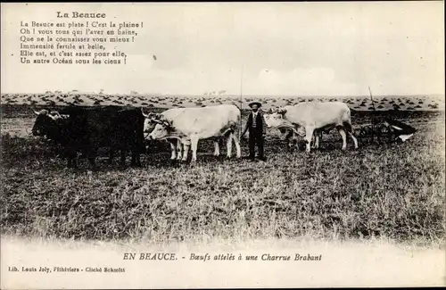 Ak Loiret, En Beauce, Boeufs atteles à une Charrue Brabant, Mann, Rinder, Landwirtschaft