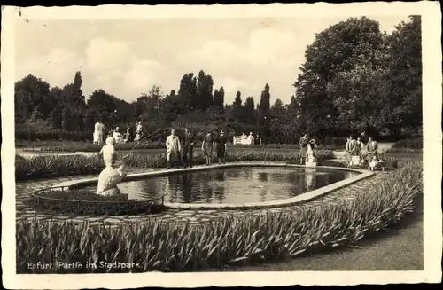 Ak Erfurt in Thüringen, Partie im Stadtpark, Springbrunnen