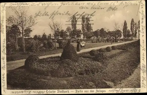 Ak Erfurt in Thüringen, Stadtpark, Partie aus den Anlagen