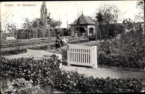 Ak Erfurt in Thüringen, Im Stadtpark
