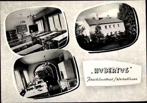 Ak Joachimsthal in Brandenburg, Hubertus