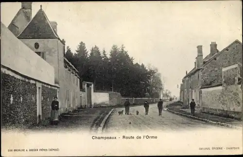 Ak Champeaux Seine et Marne, Route de l'orme