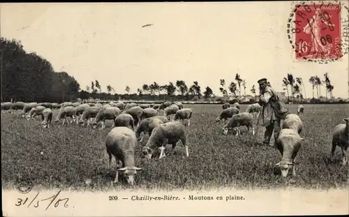 Ak Chailly Seine et Marne, Moutons en plaine