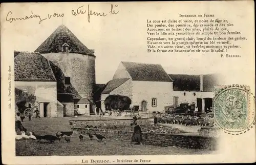 Ak Loiret, La Beauce, Interieur de Ferme, Hühner, Schafe