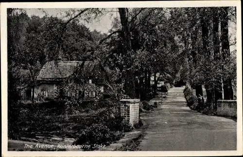 Ak Winterbourne Stoke Wiltshire, The Avenue