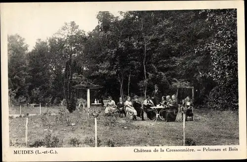 Ak Muides Loir et Cher, Chateau de la Cressonniere, Pelouses et Bois