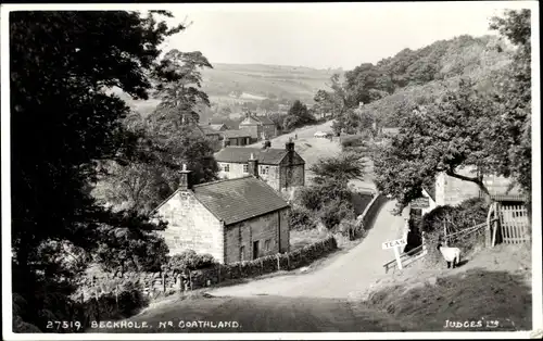 Ak Beck Hole Beckhole Scarborough North Yorkshire, panorama, sheep