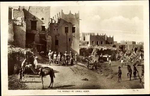 Ak Aden Jemen, the Market at Lahej, Kamele