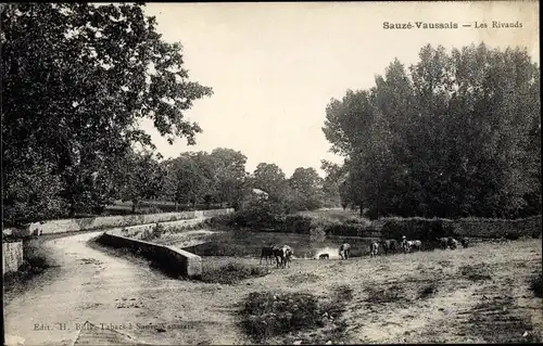 Ak Sauzé-Vaussais Deux Sèvres, Les Rivauds