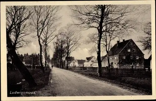 Ak Ludwigsmoos Königsmoos in Oberbayern, Straßenpartie