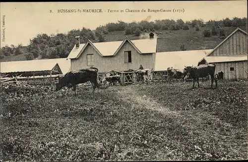 Ak Bussang Vosges, Ferme, Chaume du Rouge Gazon