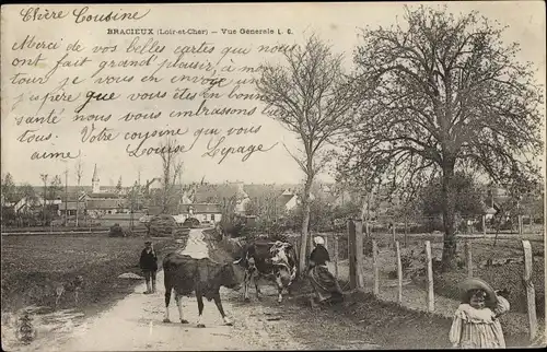 Ak Bracieux Loir et Cher, Vue générale, Rinder