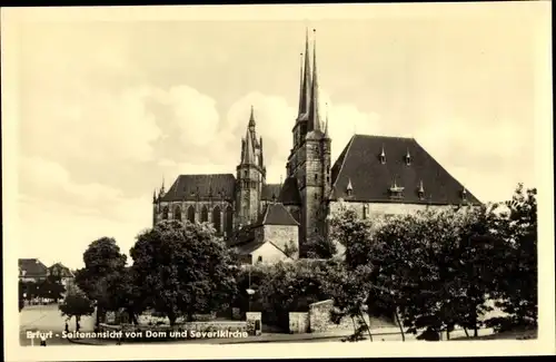 Ak Erfurt in Thüringen, Seitenansicht von Dom und Severikirche