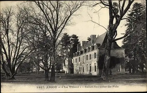 Ak Anjou Maine et Loire, Le Tilleul, Saint Sauveur de Flee