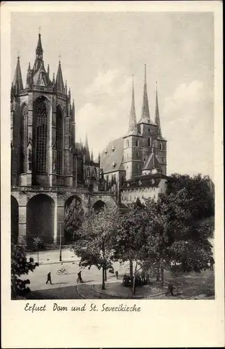 Ak Erfurt in Thüringen, Dom, Severikirche