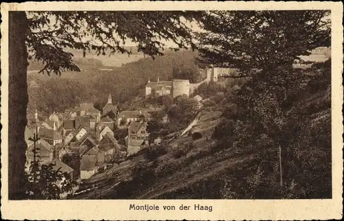 Ak Monschau Montjoie in der Eifel, Blick von der Haag auf die Stadt