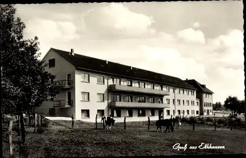 Ak Elkhausen Katzwinkel in Rheinland Pfalz, Erholungsheim Haus Marienberge