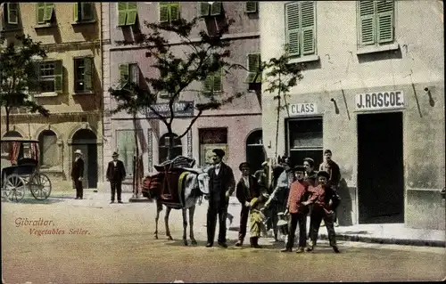 Ak Gibraltar, Street View, Vegetables Seller, Donkey, Horse Carriage