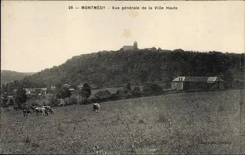 Ak Montmédy Lothringen Meuse, Vue générale de la Ville Haute, Rinder