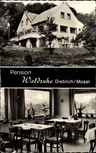 Ak Dieblich a. d. Mosel, Pension Waldruhe, Gesamtansicht, Speisesaal