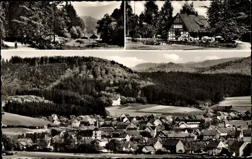 Ak Langelsheim am Harz, Im Tannengrund, Waldgaststätte von L. Bauerochse, Gesamtansicht vom Ort