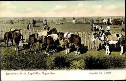 Ak Argentinien, Estanzia, Un Corral, Vieh Ranch, Pferde