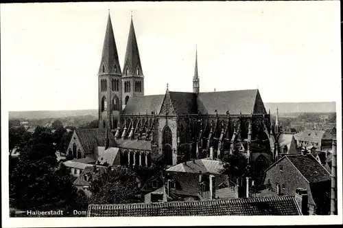 Ak Halberstadt in Sachsen Anhalt, Dom